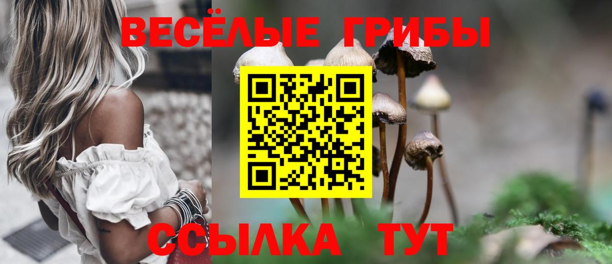 Псилоцибиновые грибы GOLDEN TEACHER  Вход с VPN  Карасук 